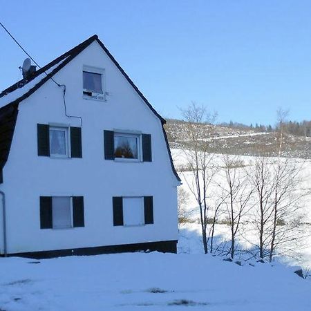 Вілла Haus Elpe Naehe Meschede Winterberg Ольсберґ Екстер'єр фото