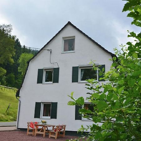 Вілла Haus Elpe Naehe Meschede Winterberg Ольсберґ Екстер'єр фото