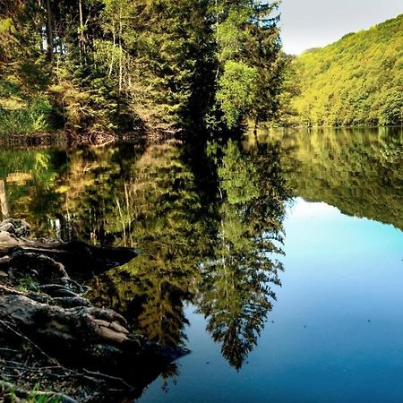 Вілла Haus Elpe Naehe Meschede Winterberg Ольсберґ Екстер'єр фото