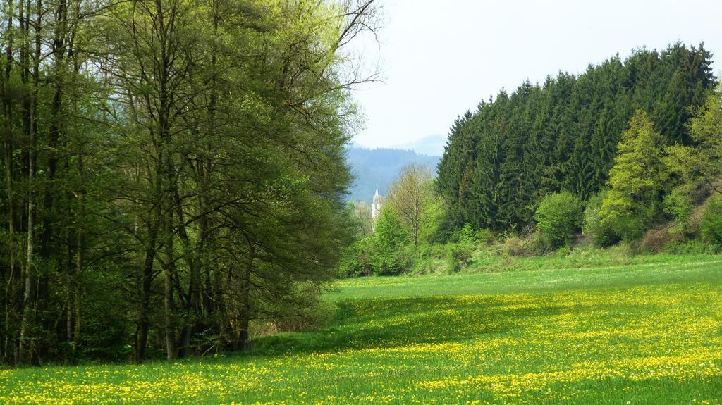 Вілла Haus Elpe Naehe Meschede Winterberg Ольсберґ Номер фото