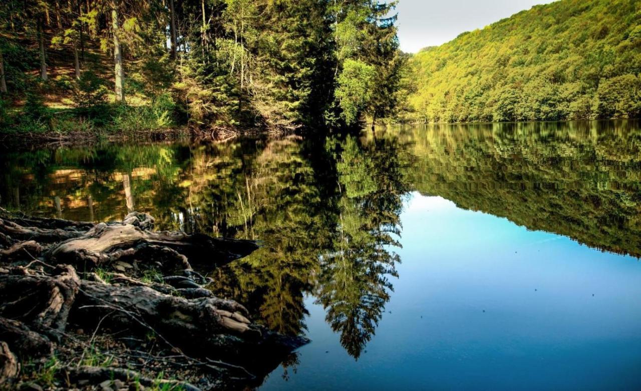 Вілла Haus Elpe Naehe Meschede Winterberg Ольсберґ Екстер'єр фото